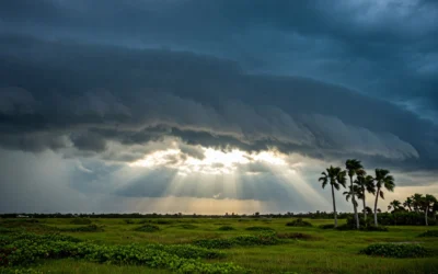 Southern Oak Insurance: Safeguarding Florida Families Through the Storm